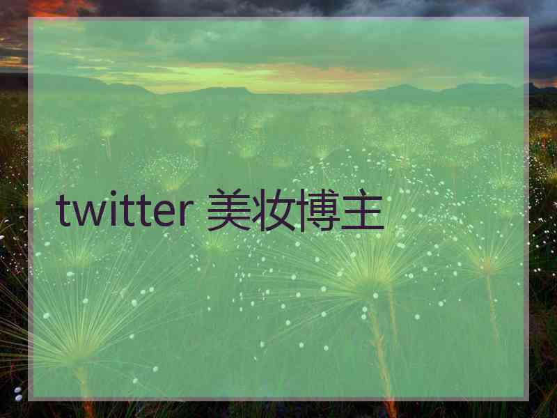 twitter 美妆博主