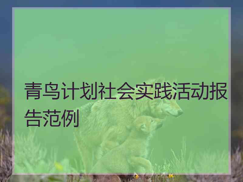 青鸟计划社会实践活动报告范例