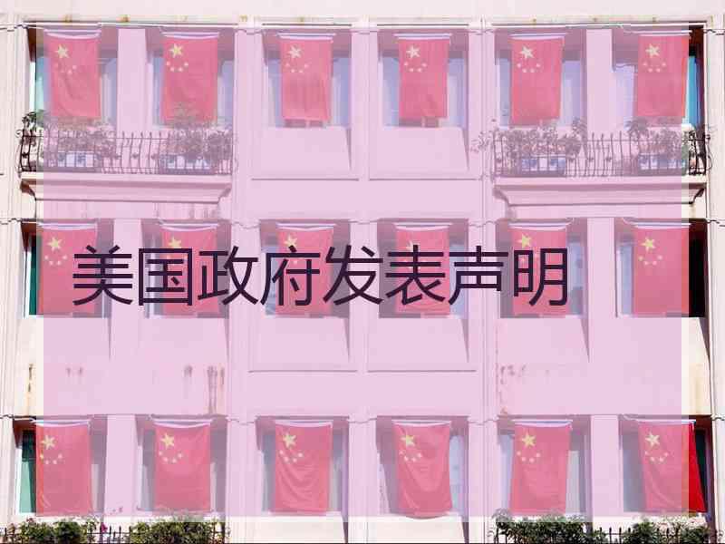 美国政府发表声明