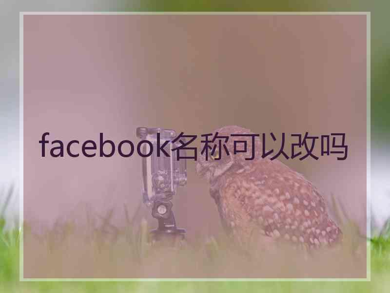 facebook名称可以改吗