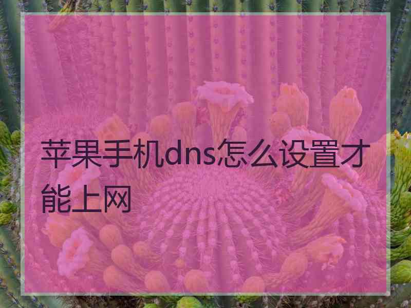 苹果手机dns怎么设置才能上网