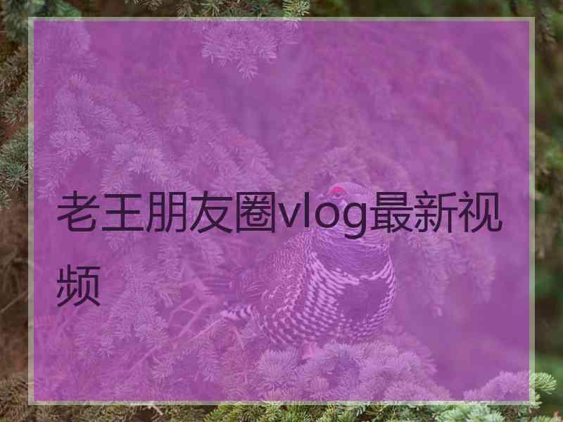 老王朋友圈vlog最新视频