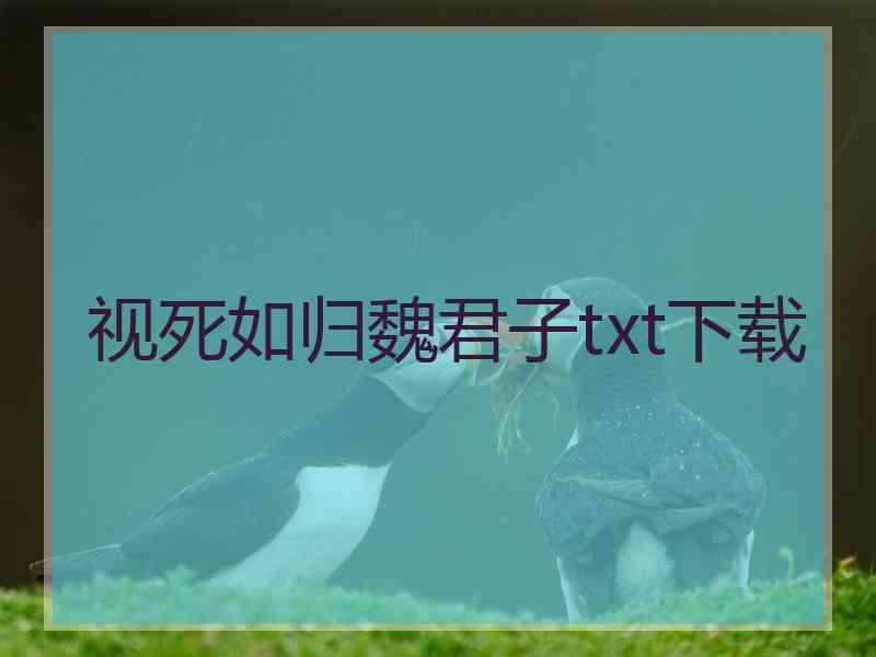 视死如归魏君子txt下载