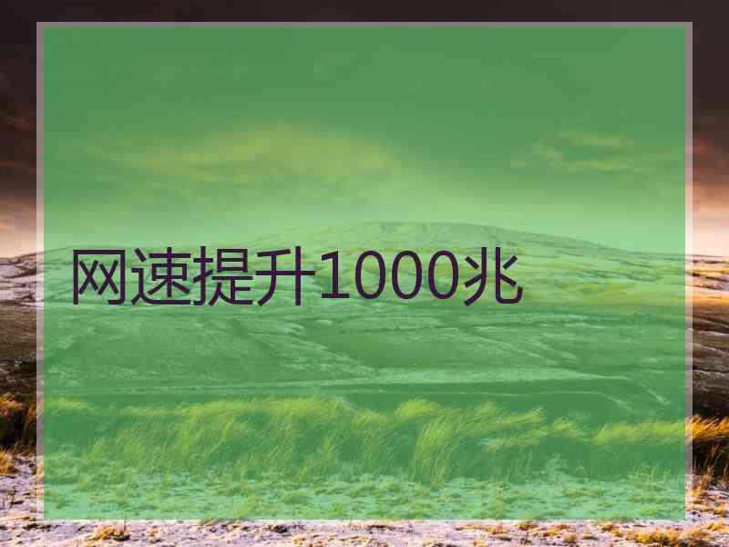 网速提升1000兆