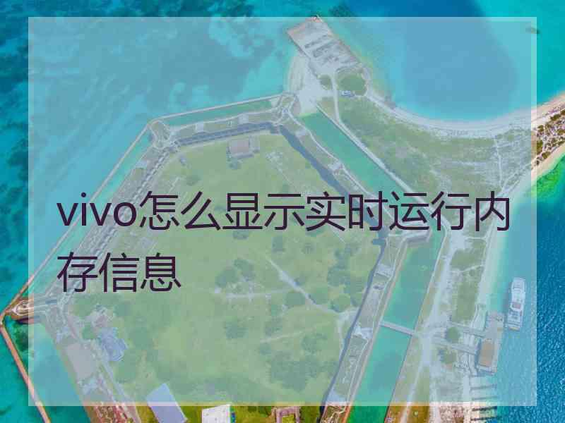 vivo怎么显示实时运行内存信息