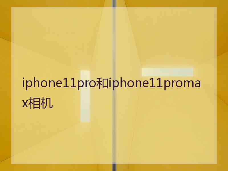 iphone11pro和iphone11promax相机