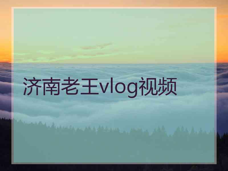 济南老王vlog视频