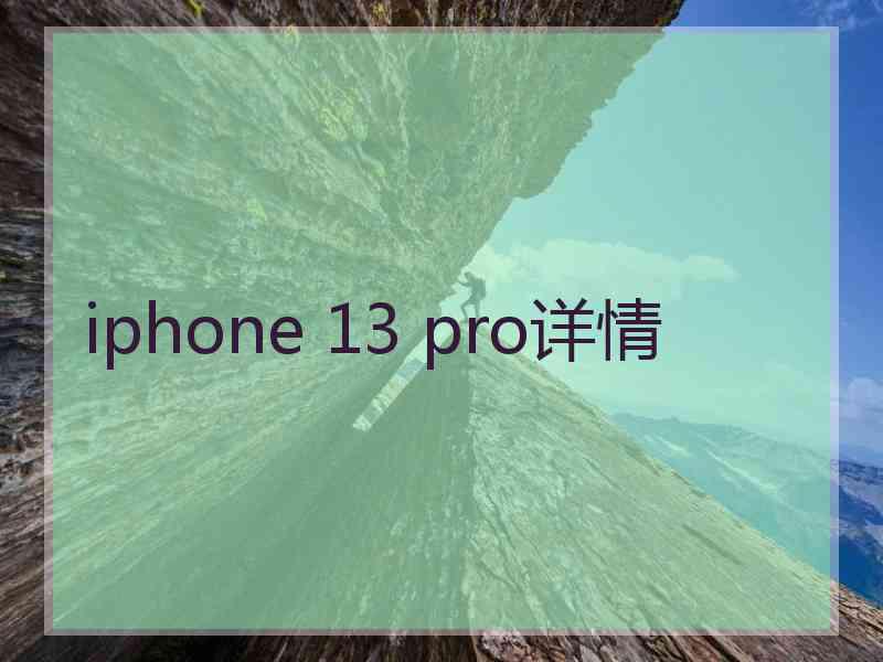 iphone 13 pro详情