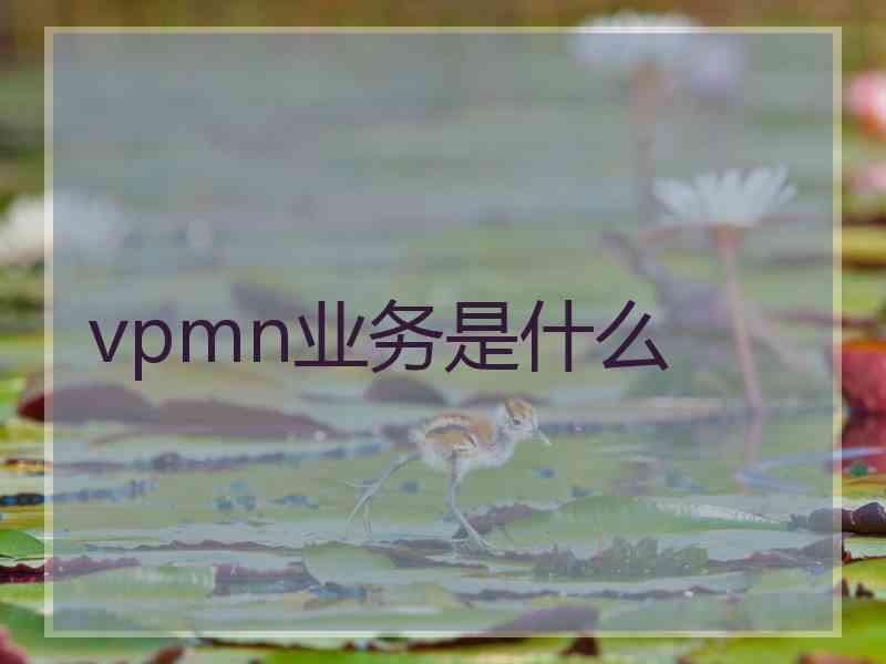 vpmn业务是什么