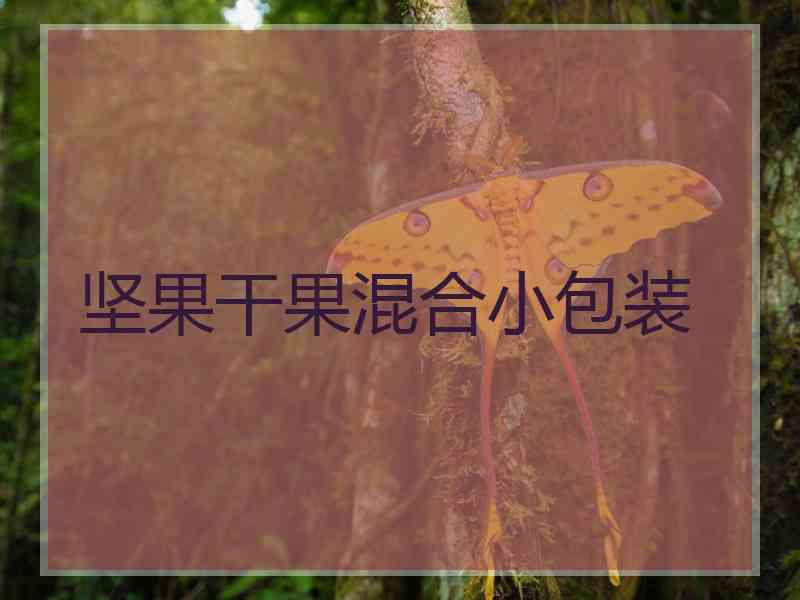 坚果干果混合小包装