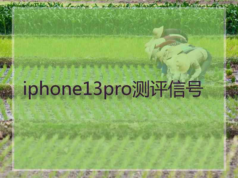 iphone13pro测评信号