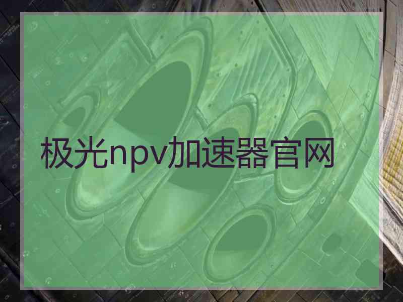 极光npv加速器官网