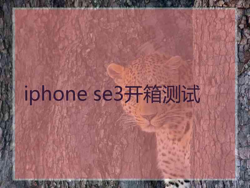 iphone se3开箱测试