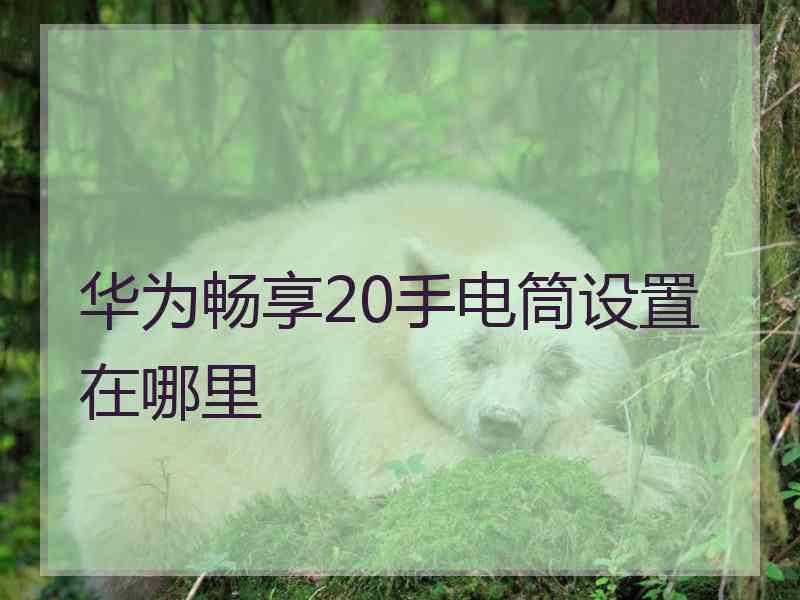 华为畅享20手电筒设置在哪里