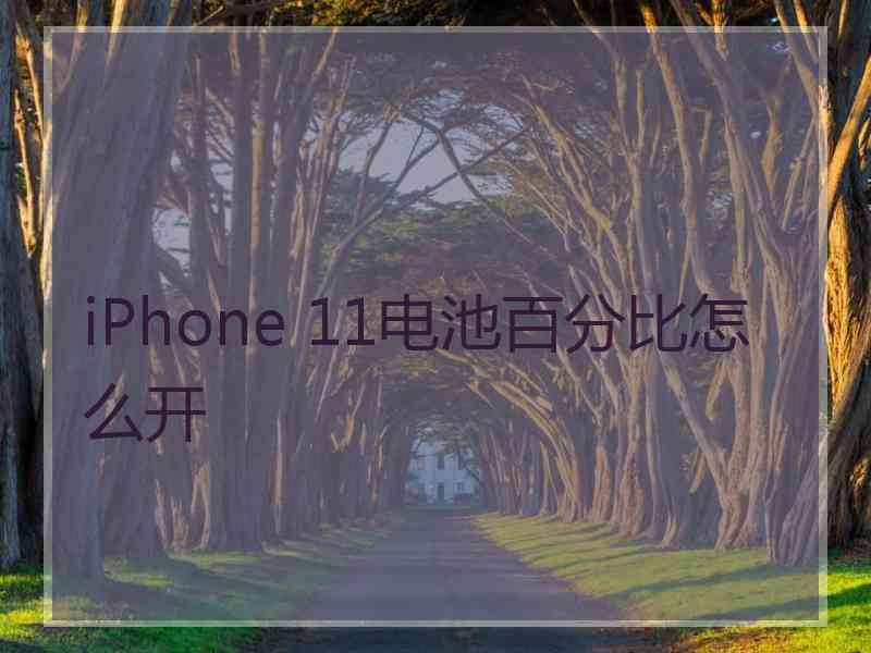 iPhone 11电池百分比怎么开