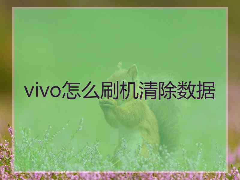 vivo怎么刷机清除数据