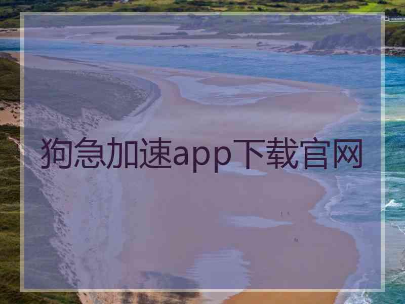 狗急加速app下载官网