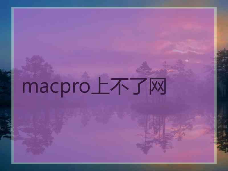 macpro上不了网