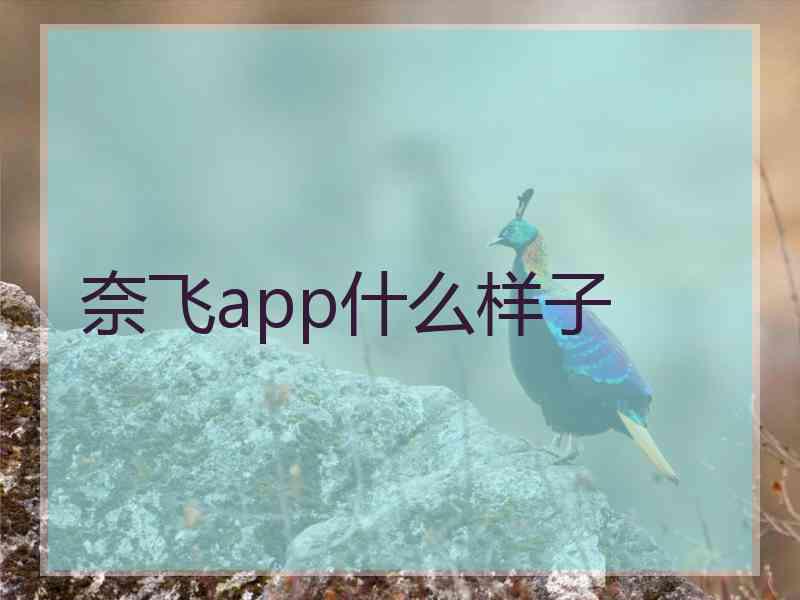 奈飞app什么样子