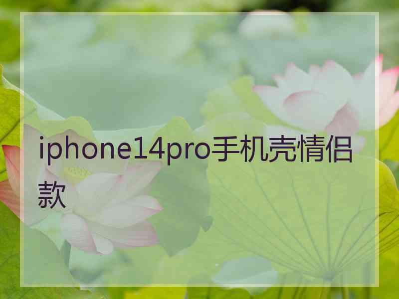 iphone14pro手机壳情侣款