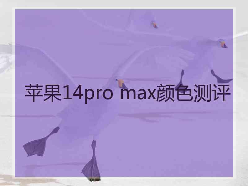 苹果14pro max颜色测评