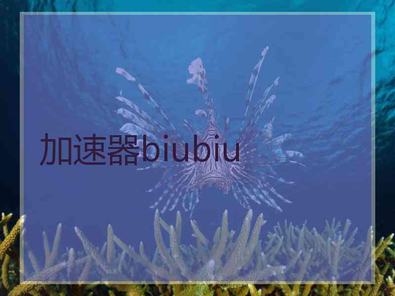 加速器biubiu