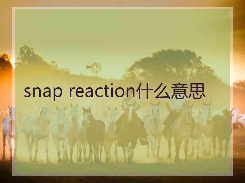 snap reaction什么意思