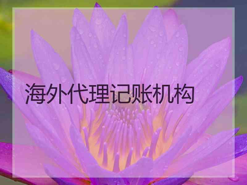 海外代理记账机构