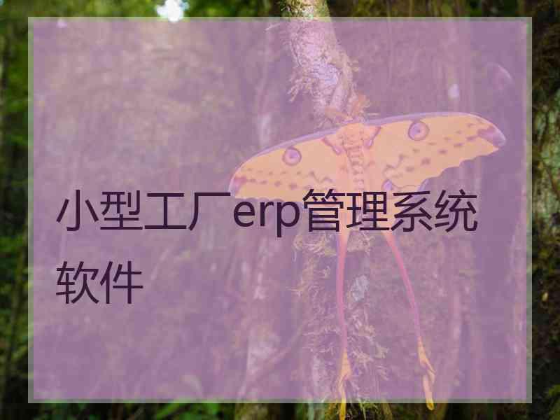 小型工厂erp管理系统软件