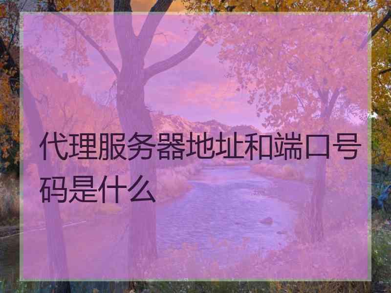 代理服务器地址和端口号码是什么