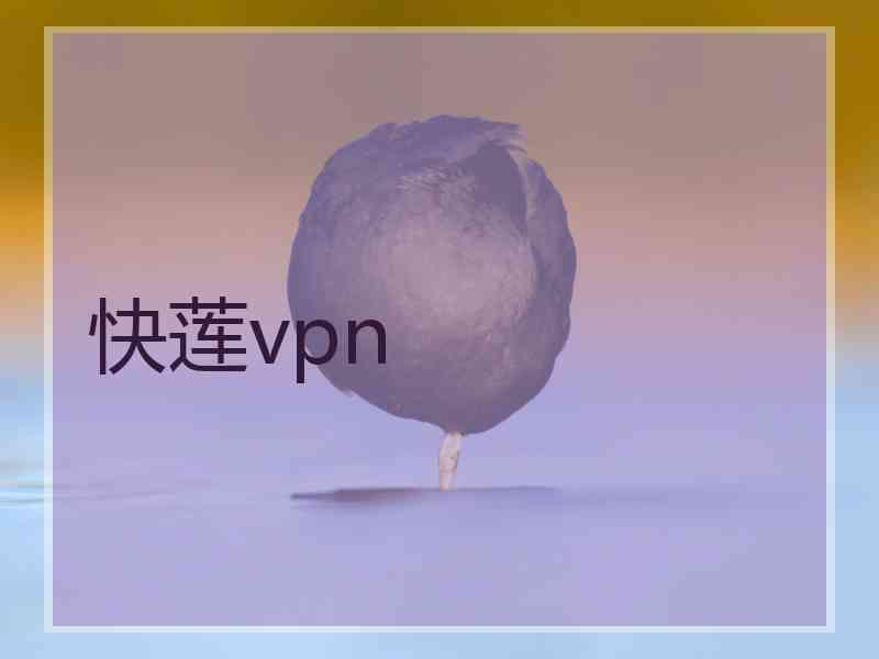 快莲vpn