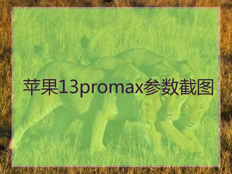 苹果13promax参数截图