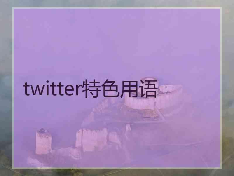 twitter特色用语