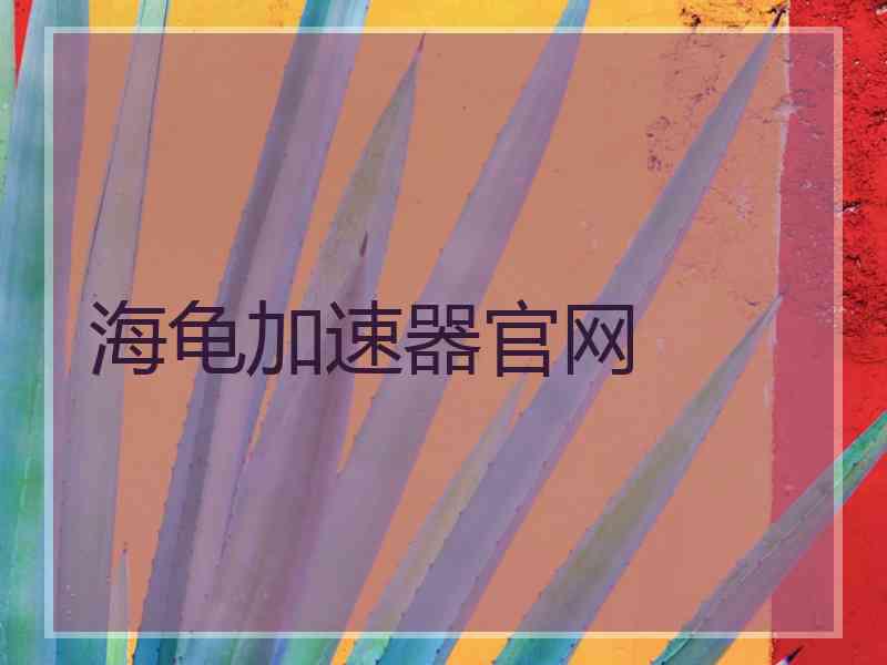 海龟加速器官网