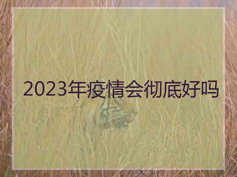 2023年疫情会彻底好吗