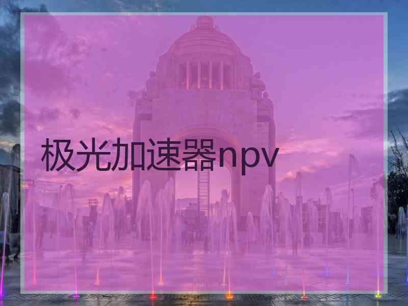 极光加速器npv