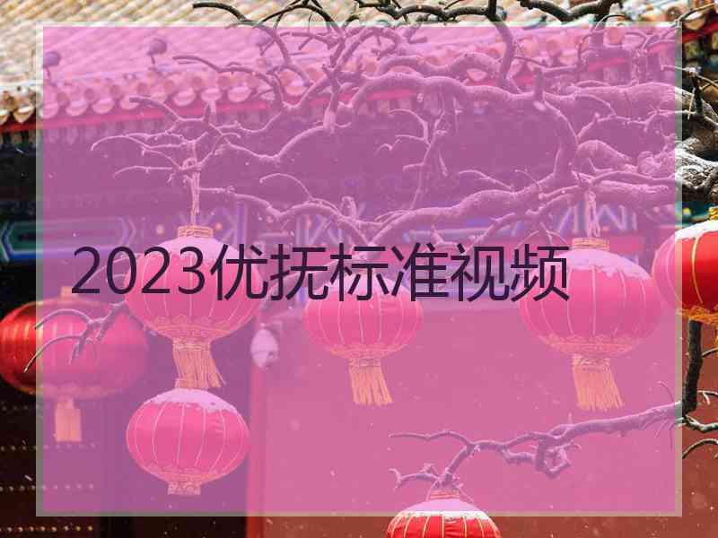 2023优抚标准视频