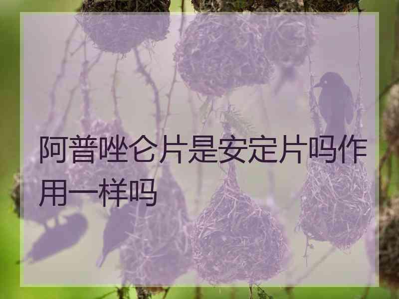 阿普唑仑片是安定片吗作用一样吗