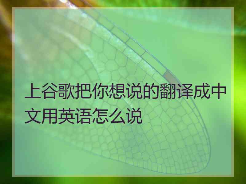 上谷歌把你想说的翻译成中文用英语怎么说