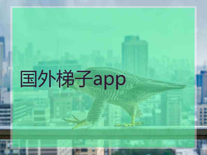 国外梯子app