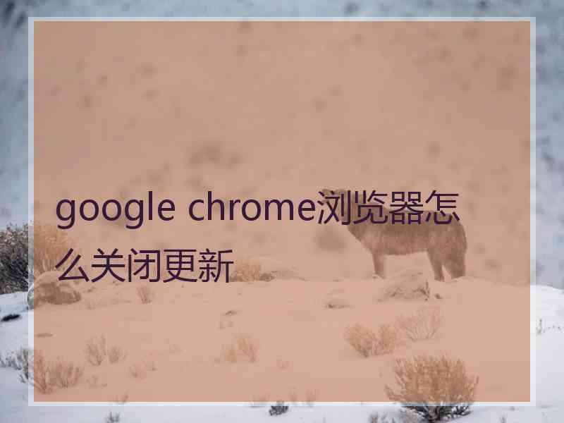 google chrome浏览器怎么关闭更新