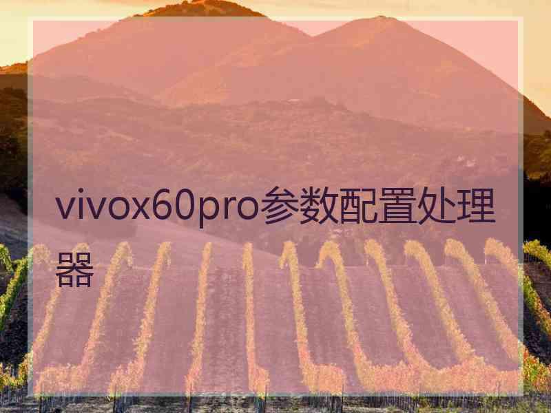 vivox60pro参数配置处理器