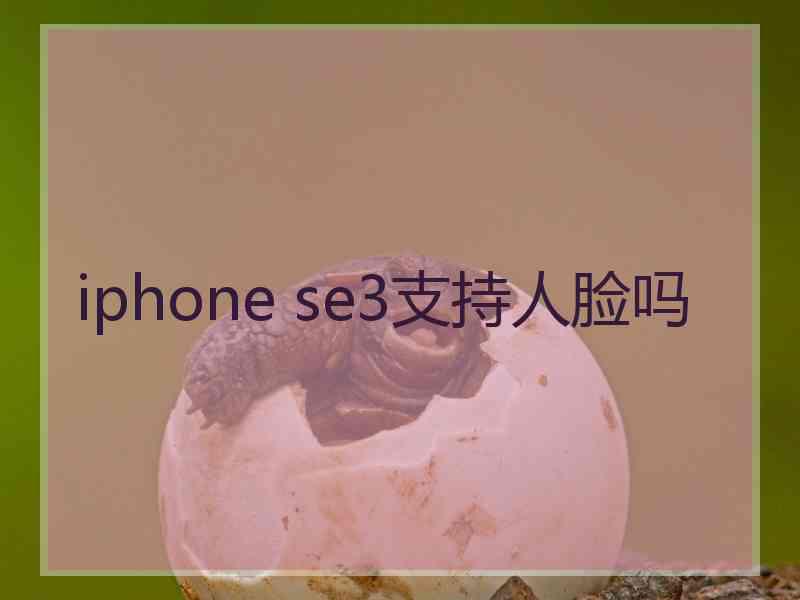 iphone se3支持人脸吗