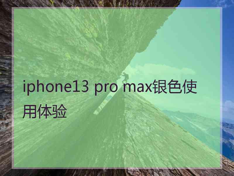 iphone13 pro max银色使用体验