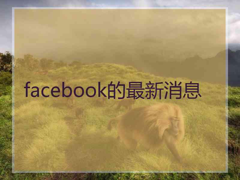 facebook的最新消息