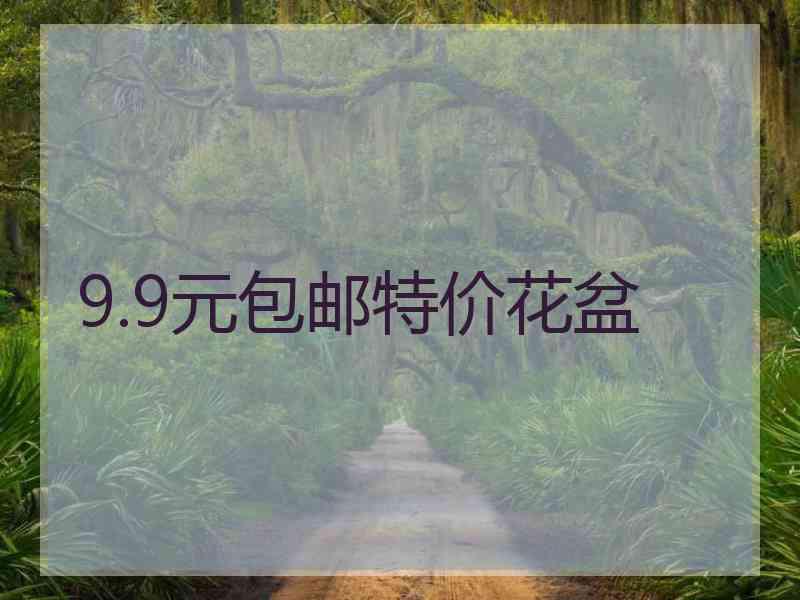 9.9元包邮特价花盆