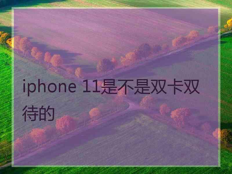 iphone 11是不是双卡双待的