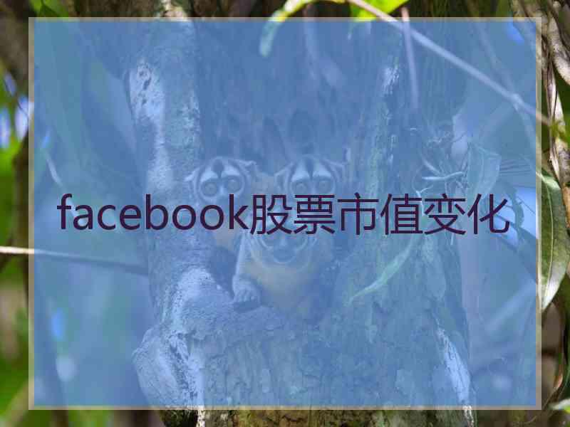 facebook股票市值变化