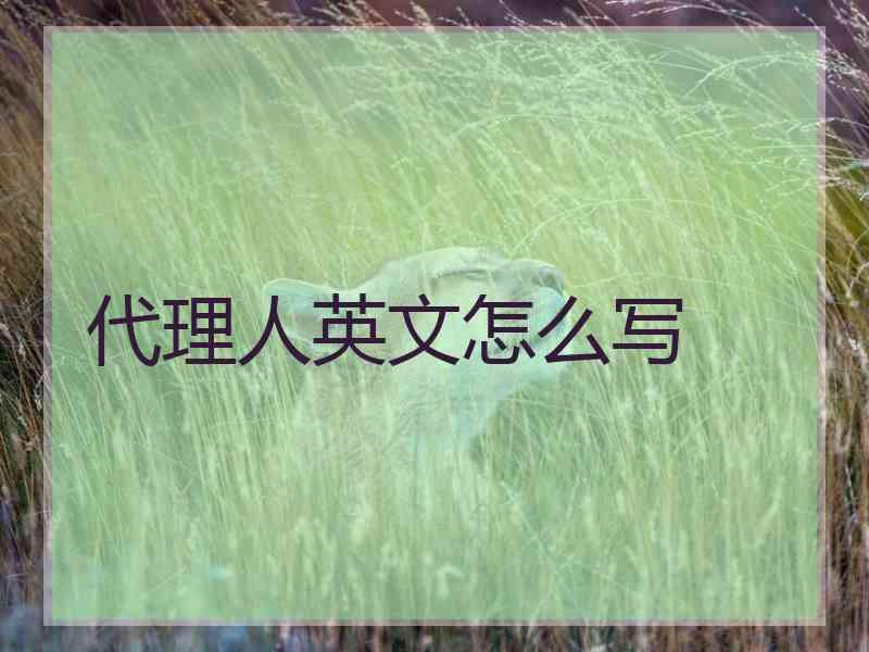 代理人英文怎么写