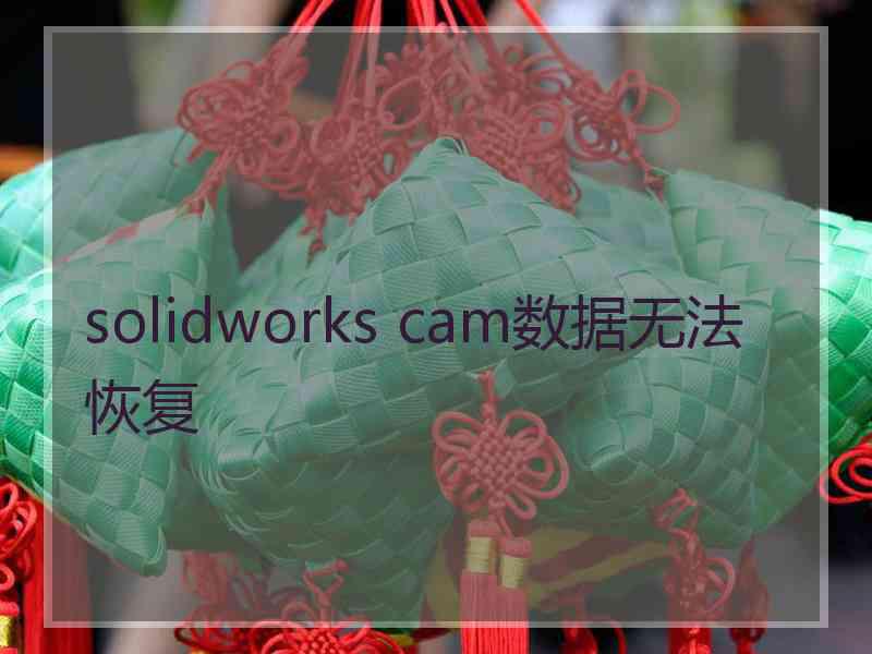 solidworks cam数据无法恢复